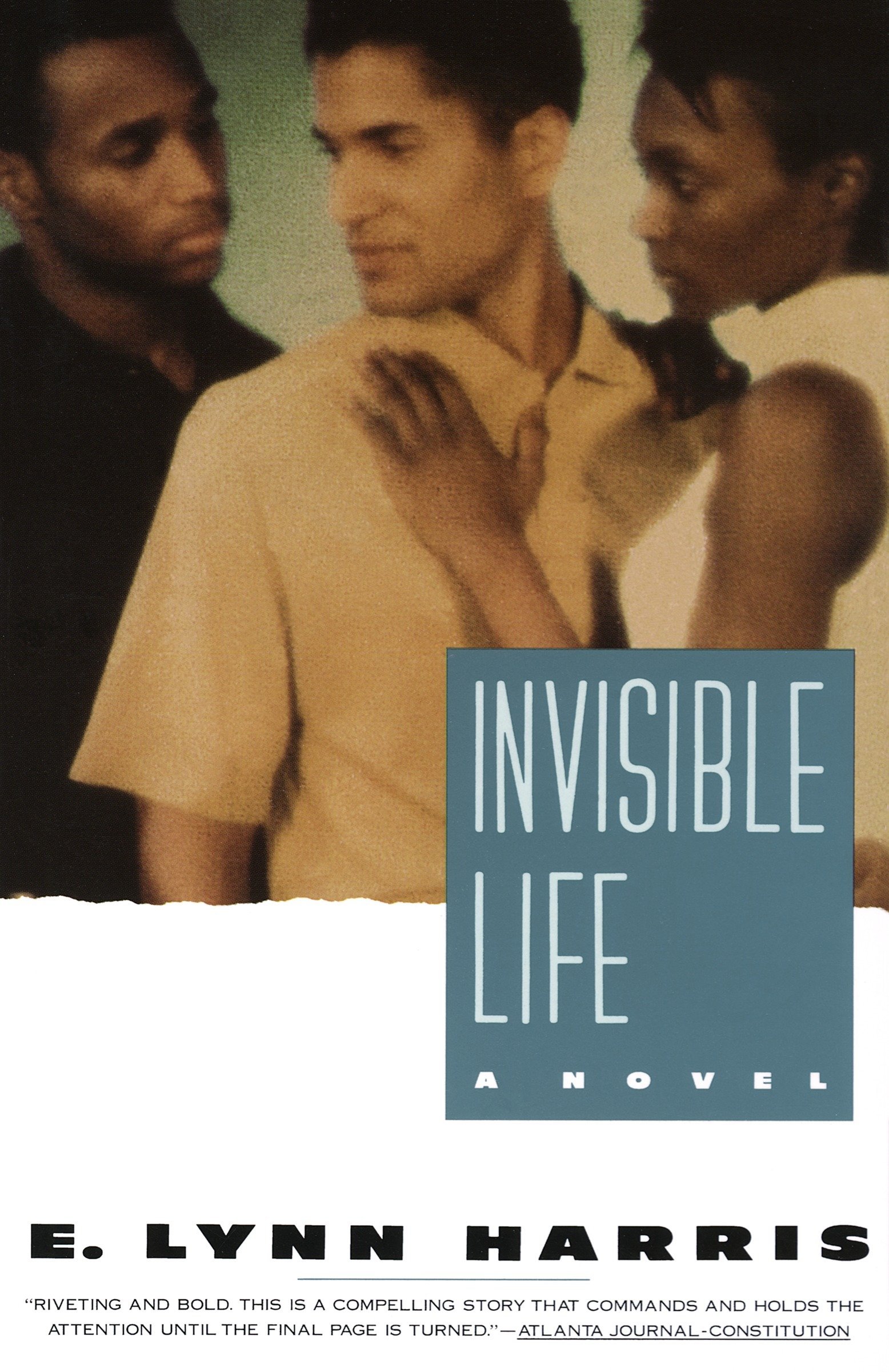 Algopix Similar Product 5 - Invisible Life A Novel Invisible Life