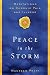 Algopix Similar Product 10 - Peace in the Storm Meditations on