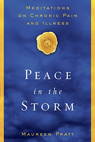 Algopix Similar Product 16 - Peace in the Storm Meditations on