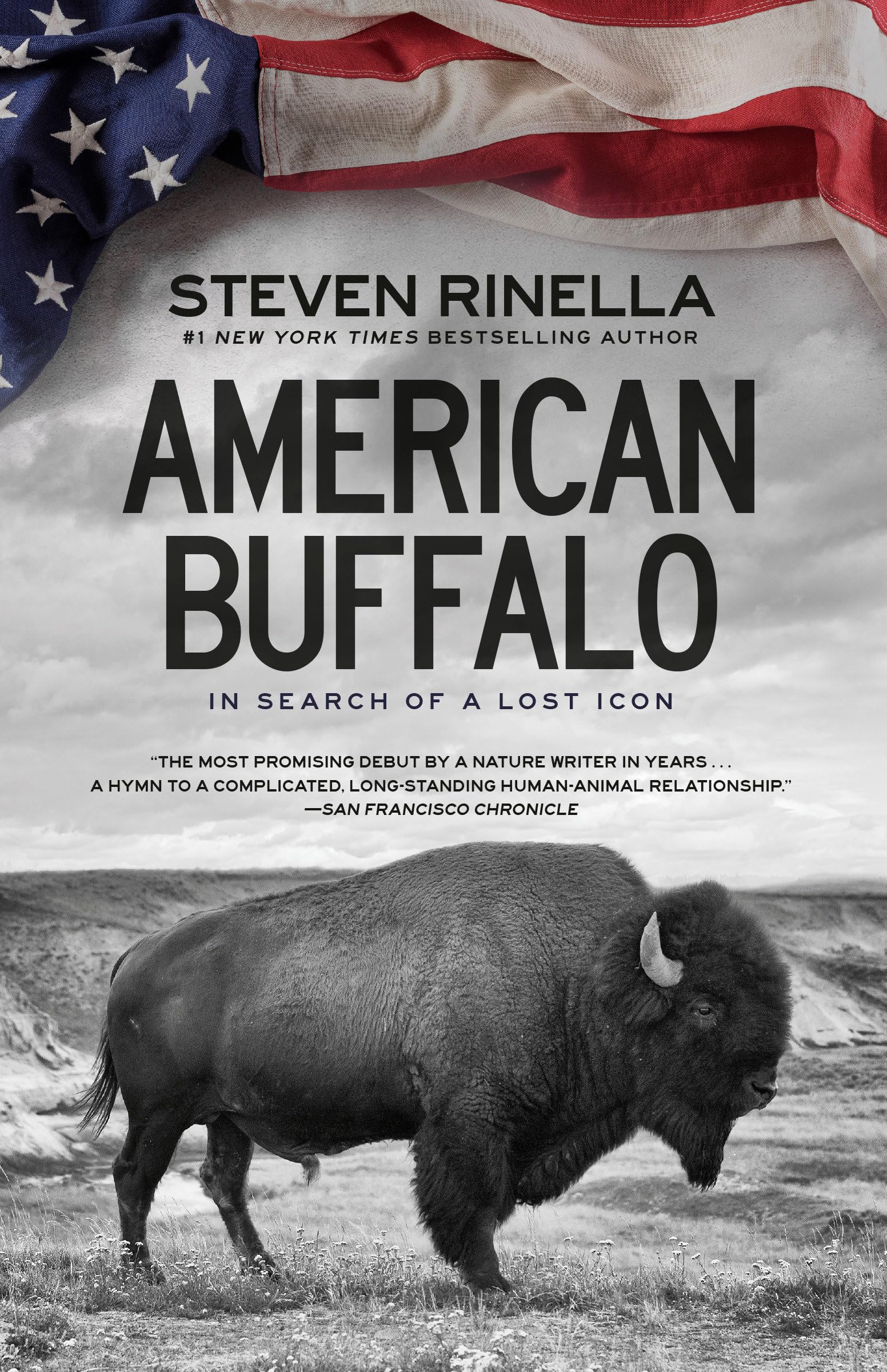 Algopix Similar Product 3 - American Buffalo In Search of a Lost