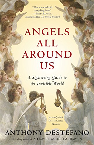 Algopix Similar Product 18 - Angels All Around Us A Sightseeing
