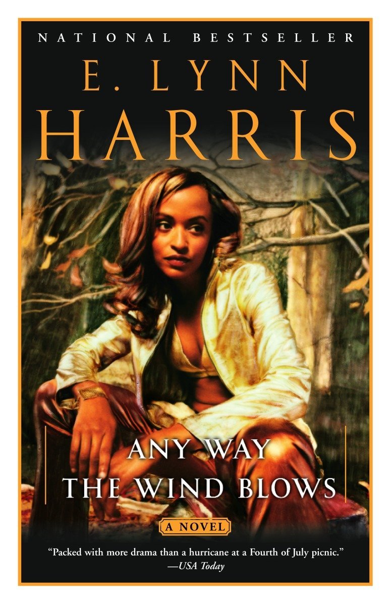 Algopix Similar Product 16 - Any Way the Wind Blows A Novel Basil