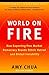 Algopix Similar Product 11 - World on Fire How Exporting Free