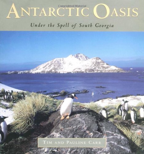 Algopix Similar Product 16 - Antarctic Oasis Under the Spell of