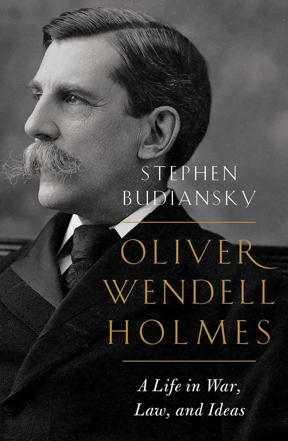 Algopix Similar Product 14 - Oliver Wendell Holmes A Life in War