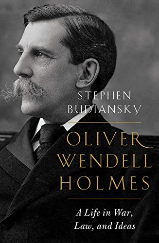 Algopix Similar Product 2 - Oliver Wendell Holmes A Life in War