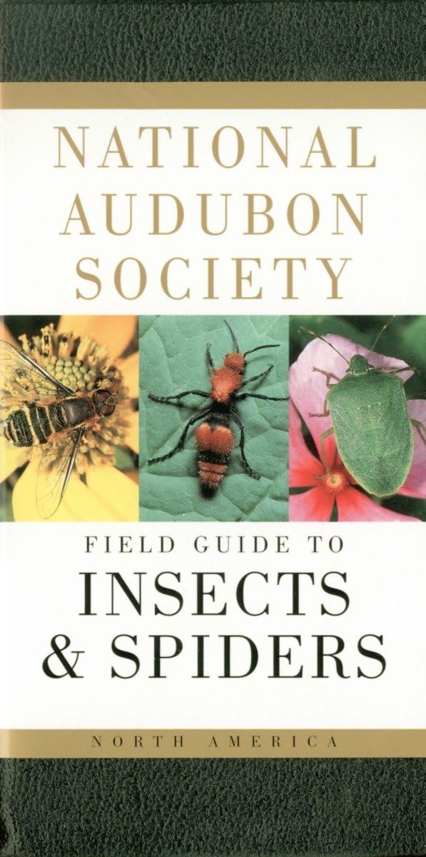 Algopix Similar Product 11 - National Audubon Society Field Guide to