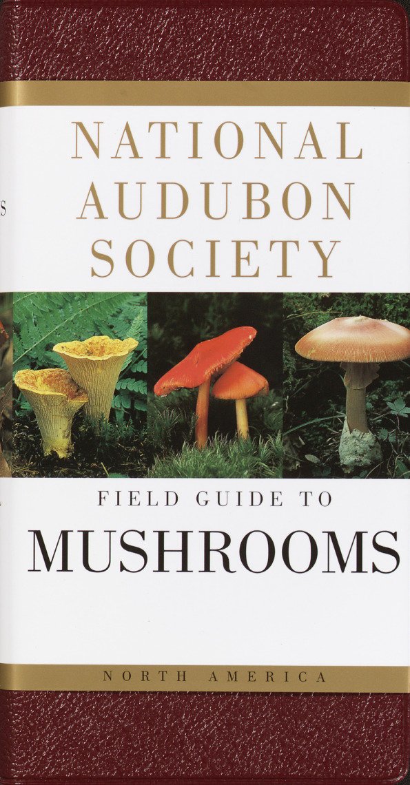 Algopix Similar Product 16 - National Audubon Society Field Guide to