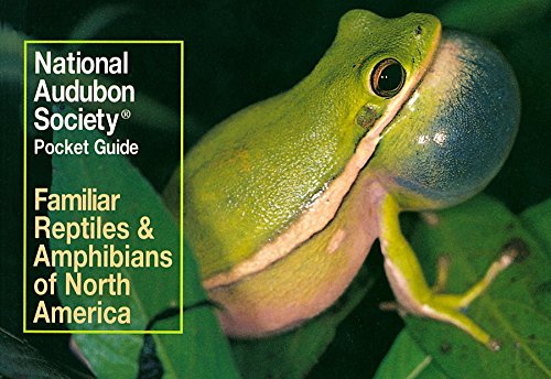 Algopix Similar Product 9 - National Audubon Society Pocket Guide