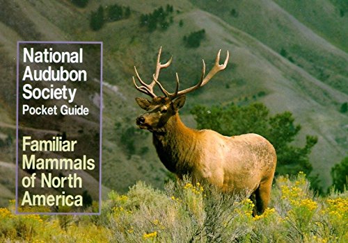 Algopix Similar Product 12 - National Audubon Society Pocket Guide