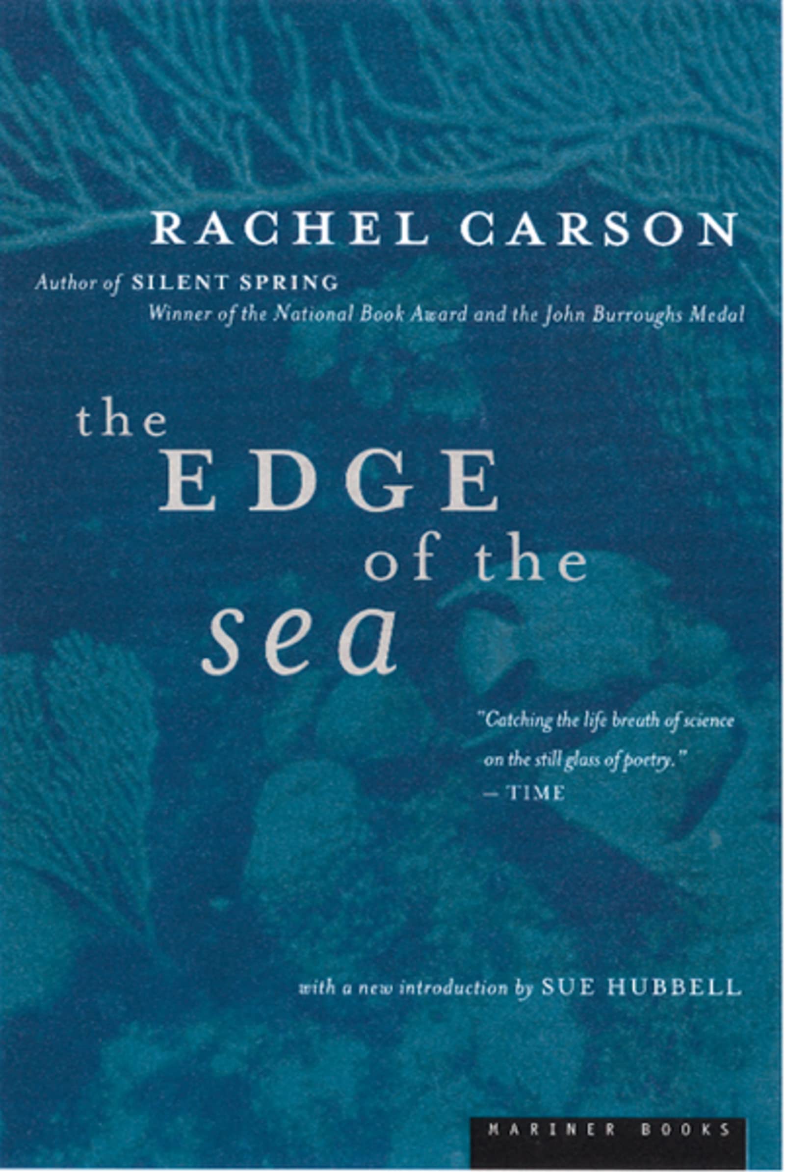 Algopix Similar Product 1 - The Edge Of The Sea