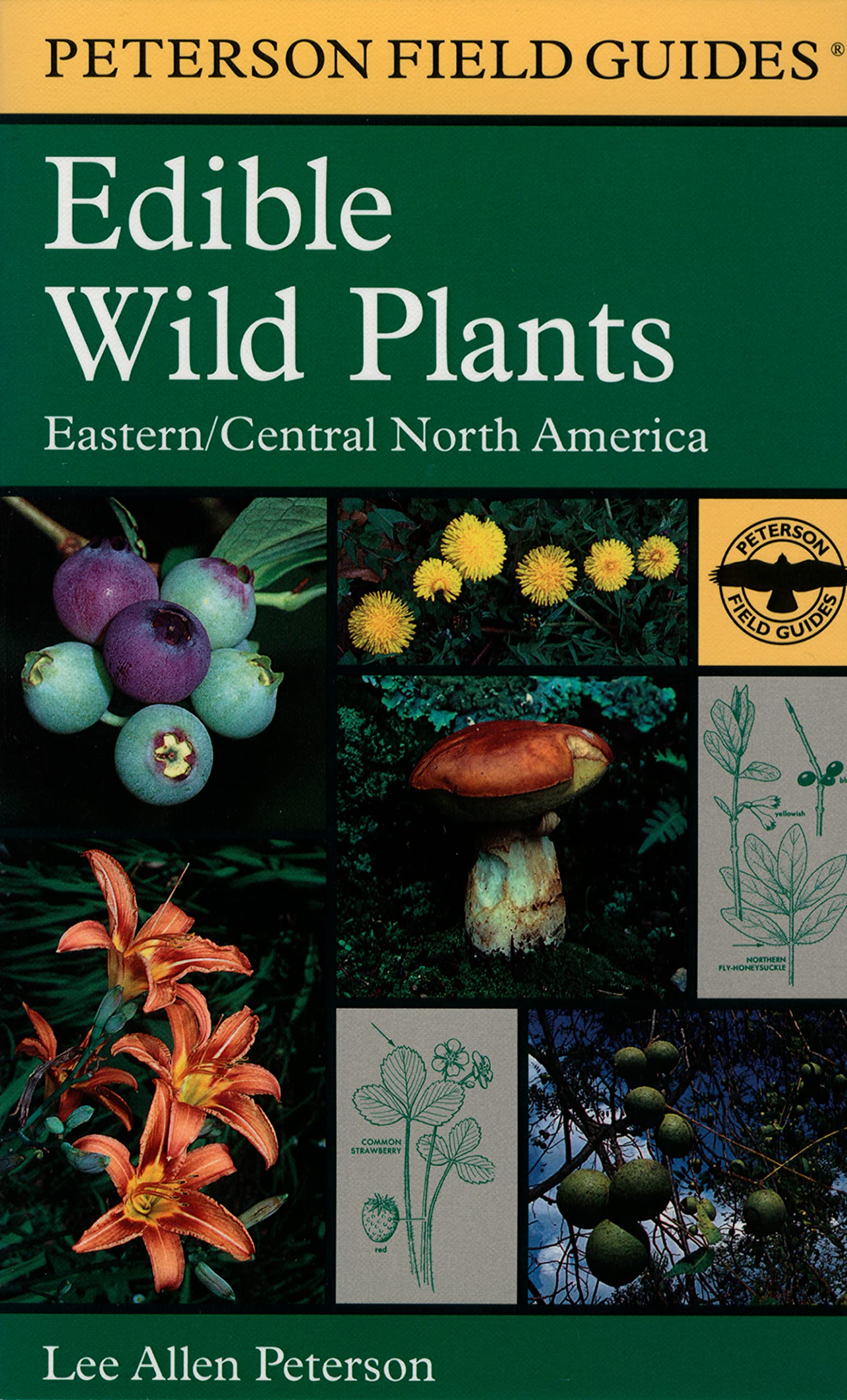 Algopix Similar Product 13 - Edible Wild Plants EasternCentral