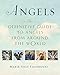 Algopix Similar Product 5 - Angels The Definitive Guide to Angels