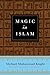Algopix Similar Product 5 - Magic In Islam