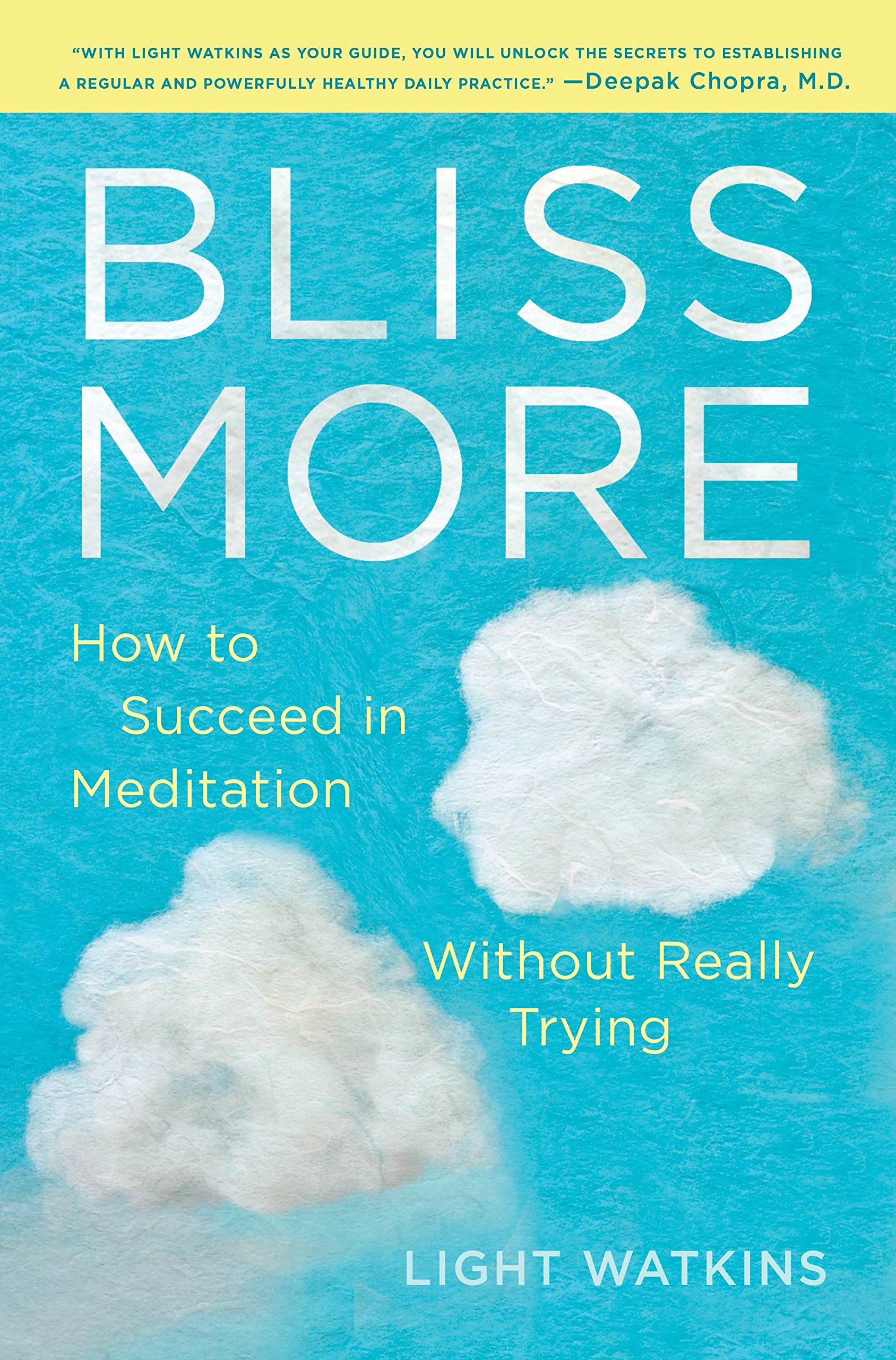 Algopix Similar Product 5 - Bliss More How to Succeed in