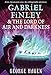 Algopix Similar Product 10 - Gabriel Finley and the Lord of Air and