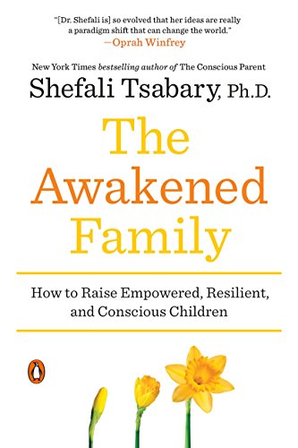 Algopix Similar Product 13 - The Awakened Family How to Raise