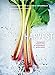 Algopix Similar Product 19 - Harvest Unexpected Projects Using 47