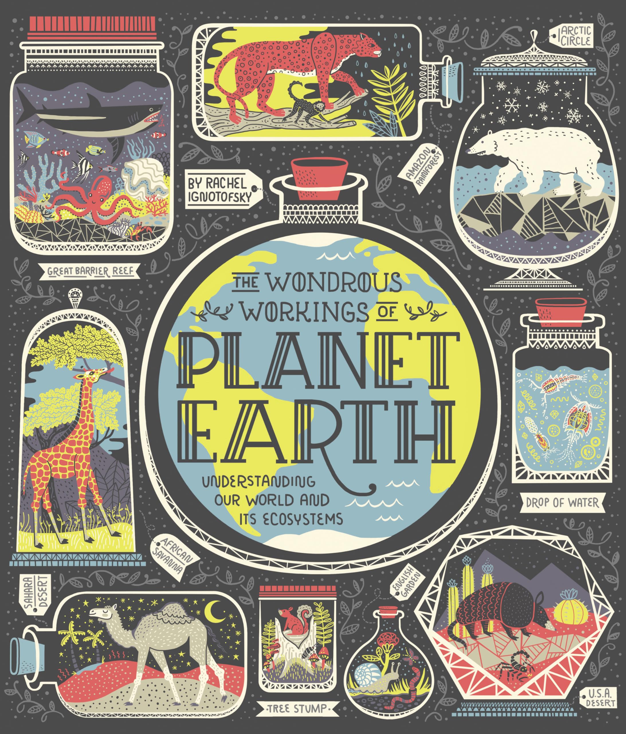 Algopix Similar Product 12 - The Wondrous Workings of Planet Earth