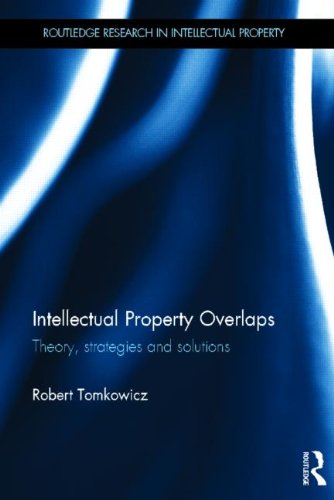 Algopix Similar Product 1 - Intellectual Property Overlaps Theory