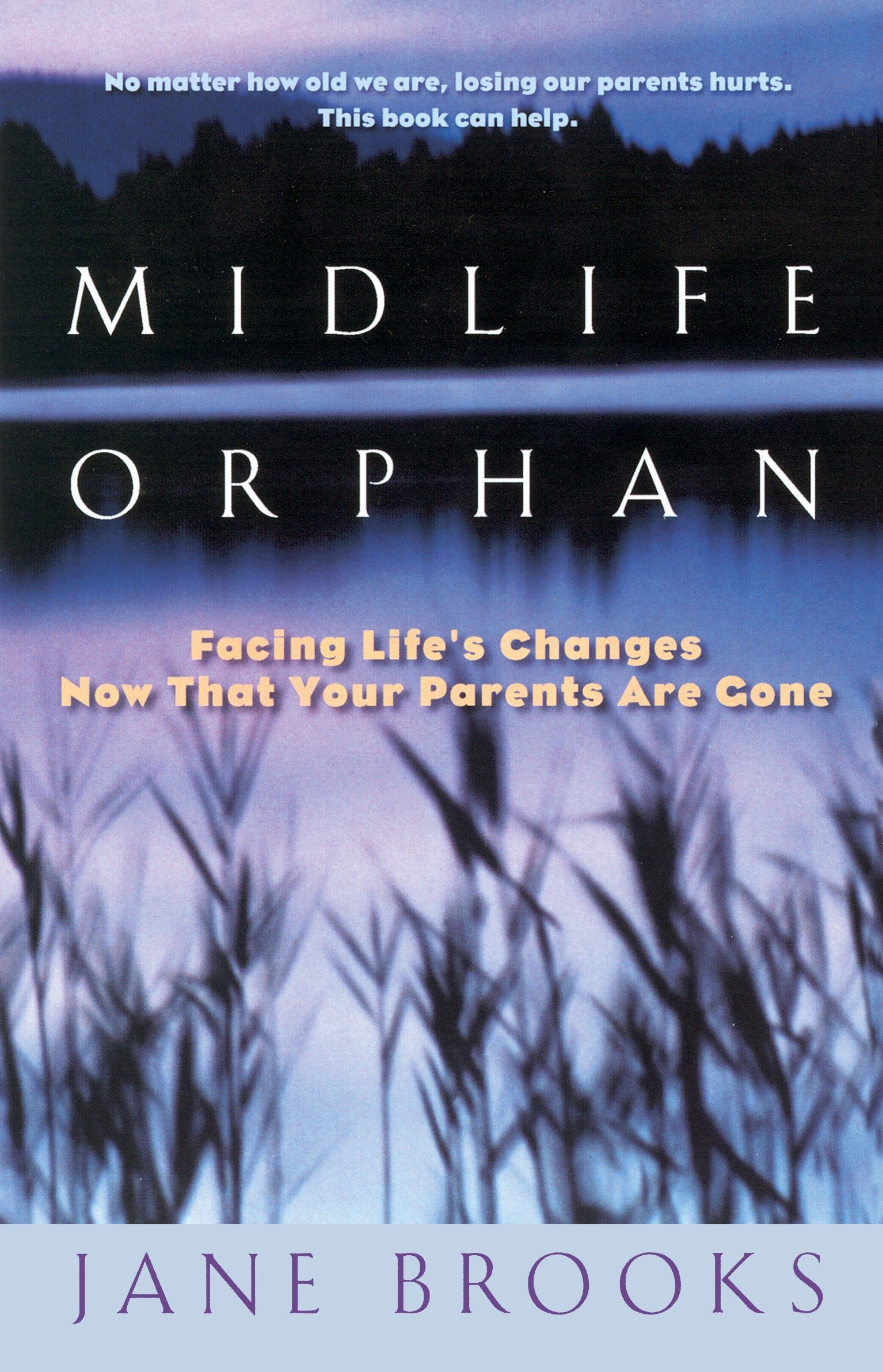 Algopix Similar Product 3 - Midlife Orphan Facing Lifes Changes