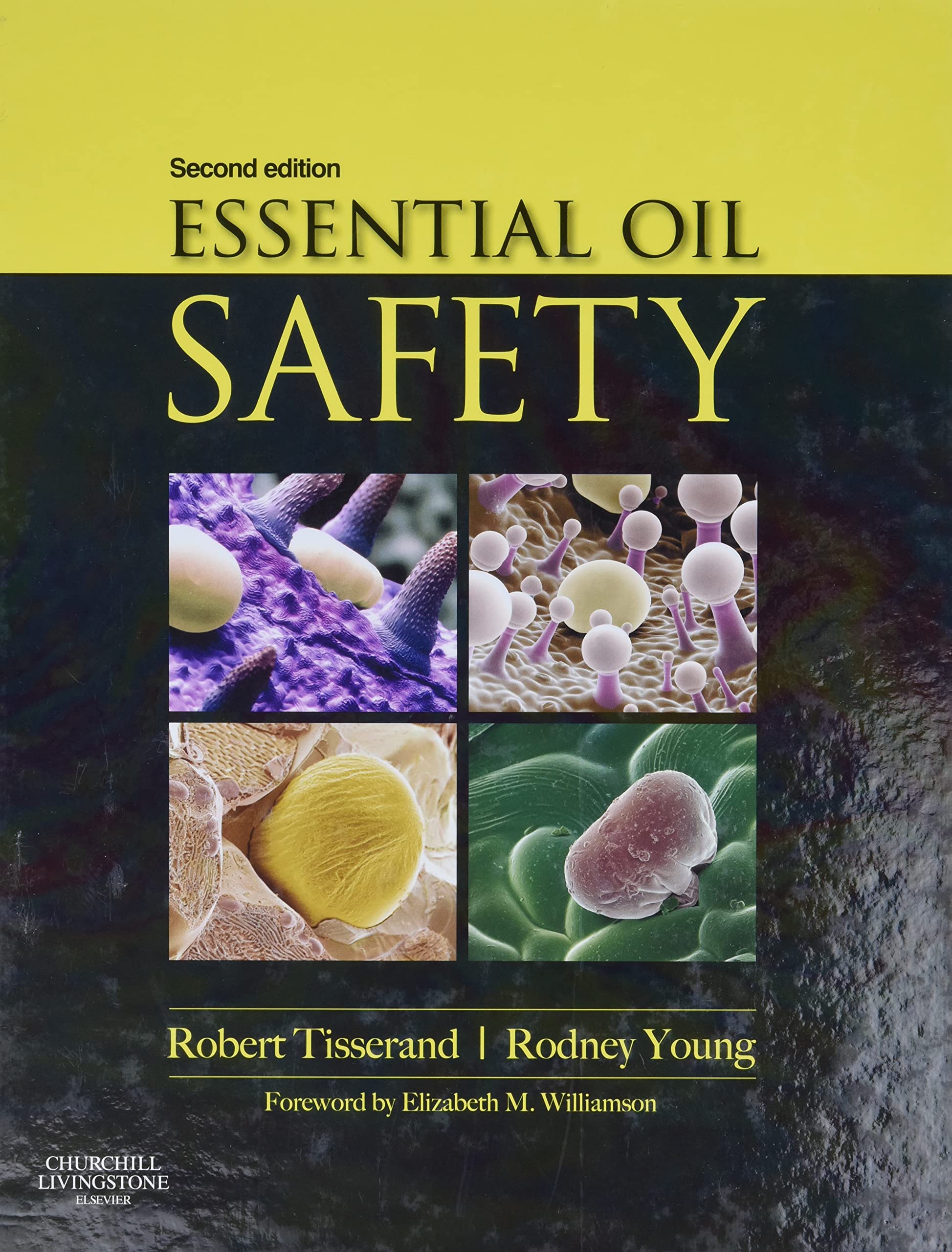 Algopix Similar Product 3 - Essential Oil Safety A Guide for