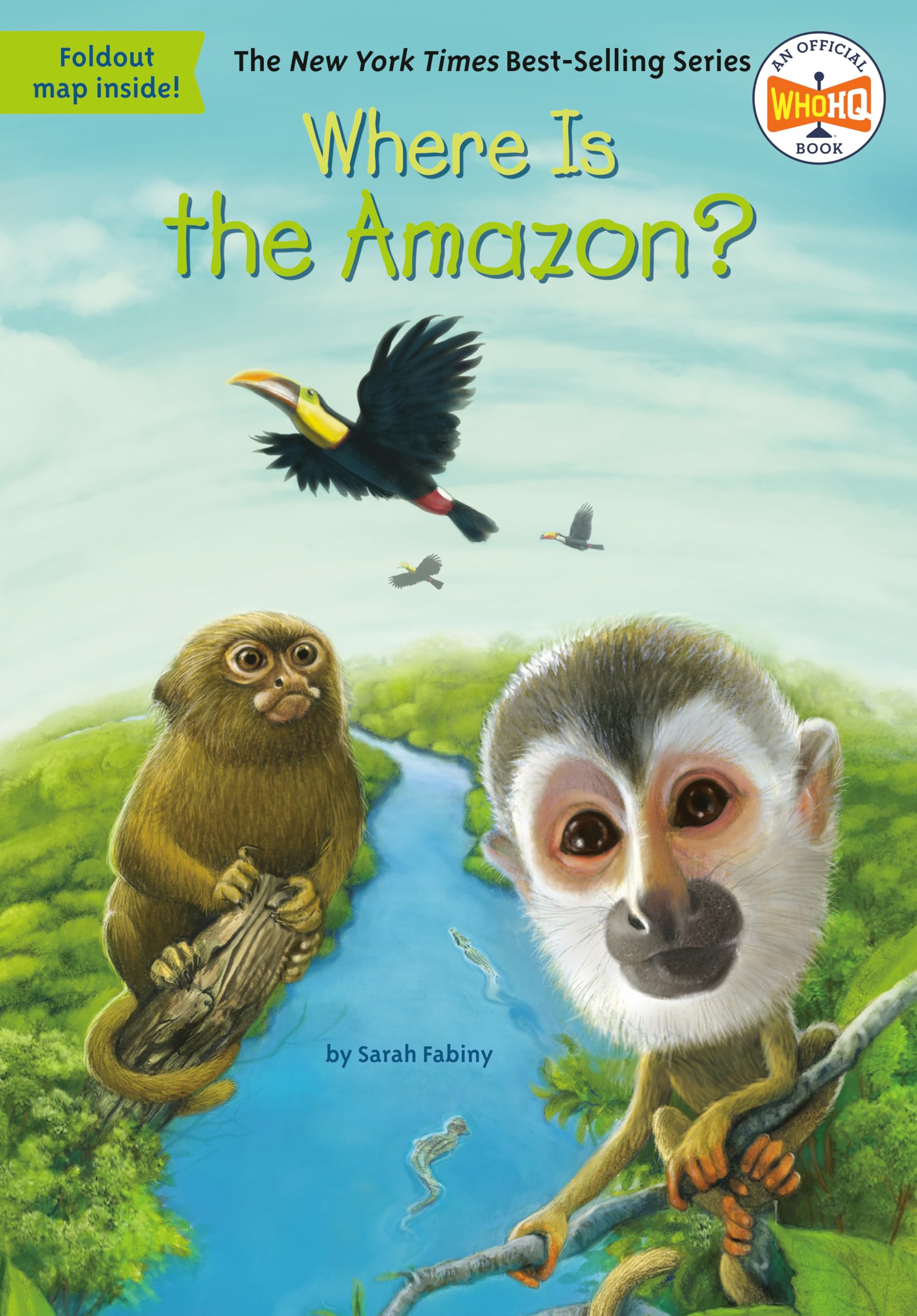 Algopix Similar Product 3 - Where Is the Amazon?