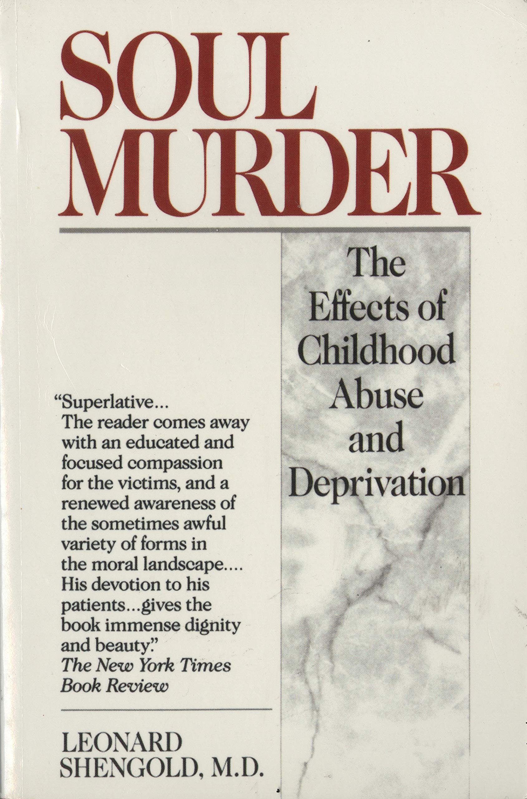 Algopix Similar Product 11 - Soul Murder The Effects of Childhood