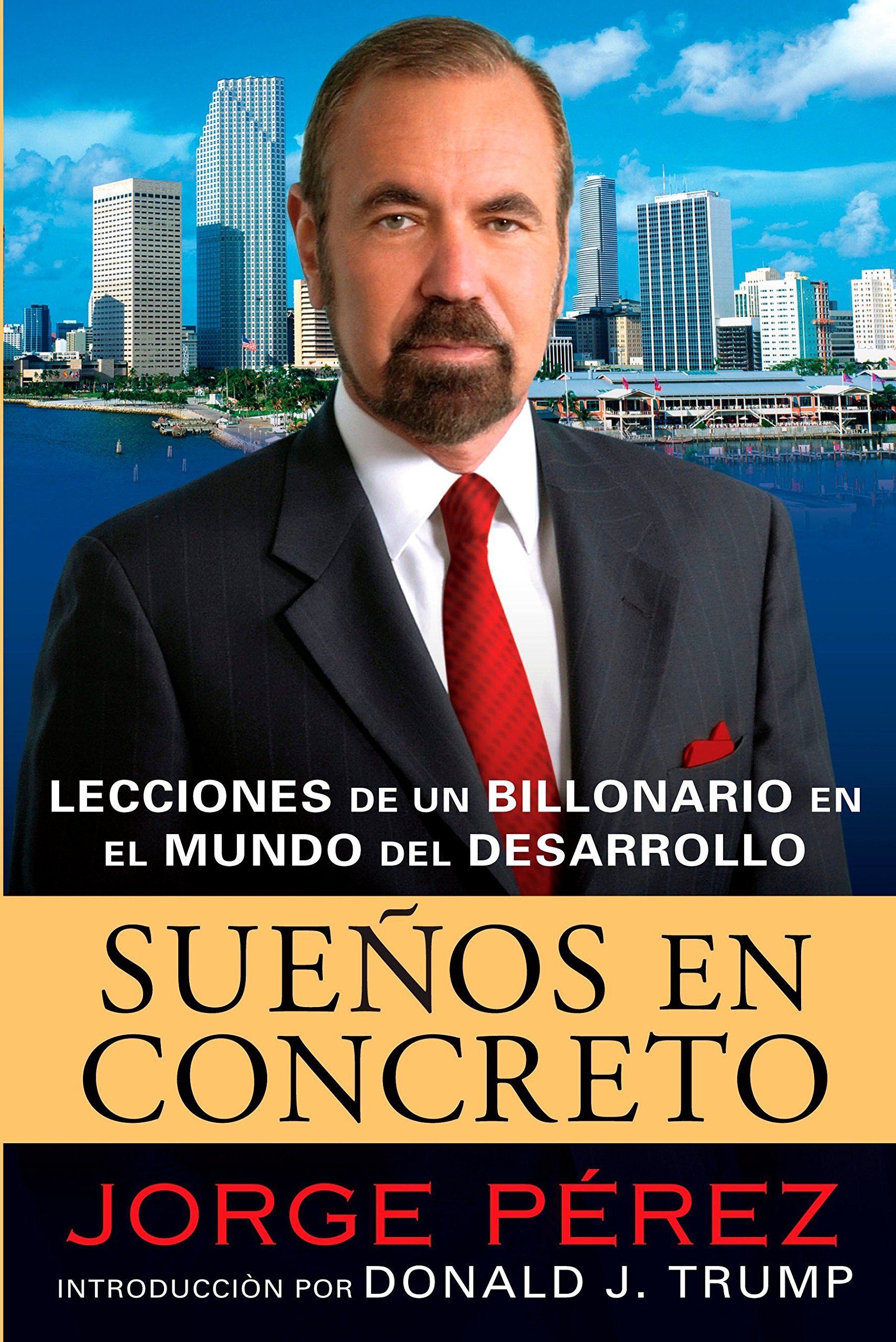 Algopix Similar Product 6 - Suenos En Concreto Lecciones de un