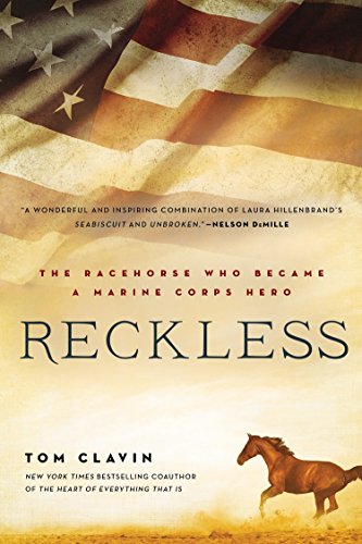 Algopix Similar Product 6 - Reckless The Racehorse Who Became a