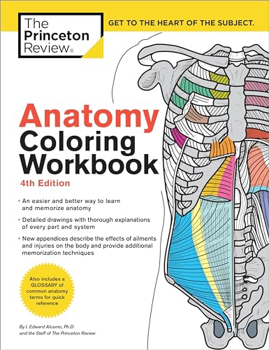 Algopix Similar Product 6 - Anatomy Coloring Workbook 4th Edition