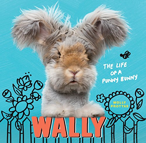 Algopix Similar Product 15 - Wally: The Life of a Punny Bunny