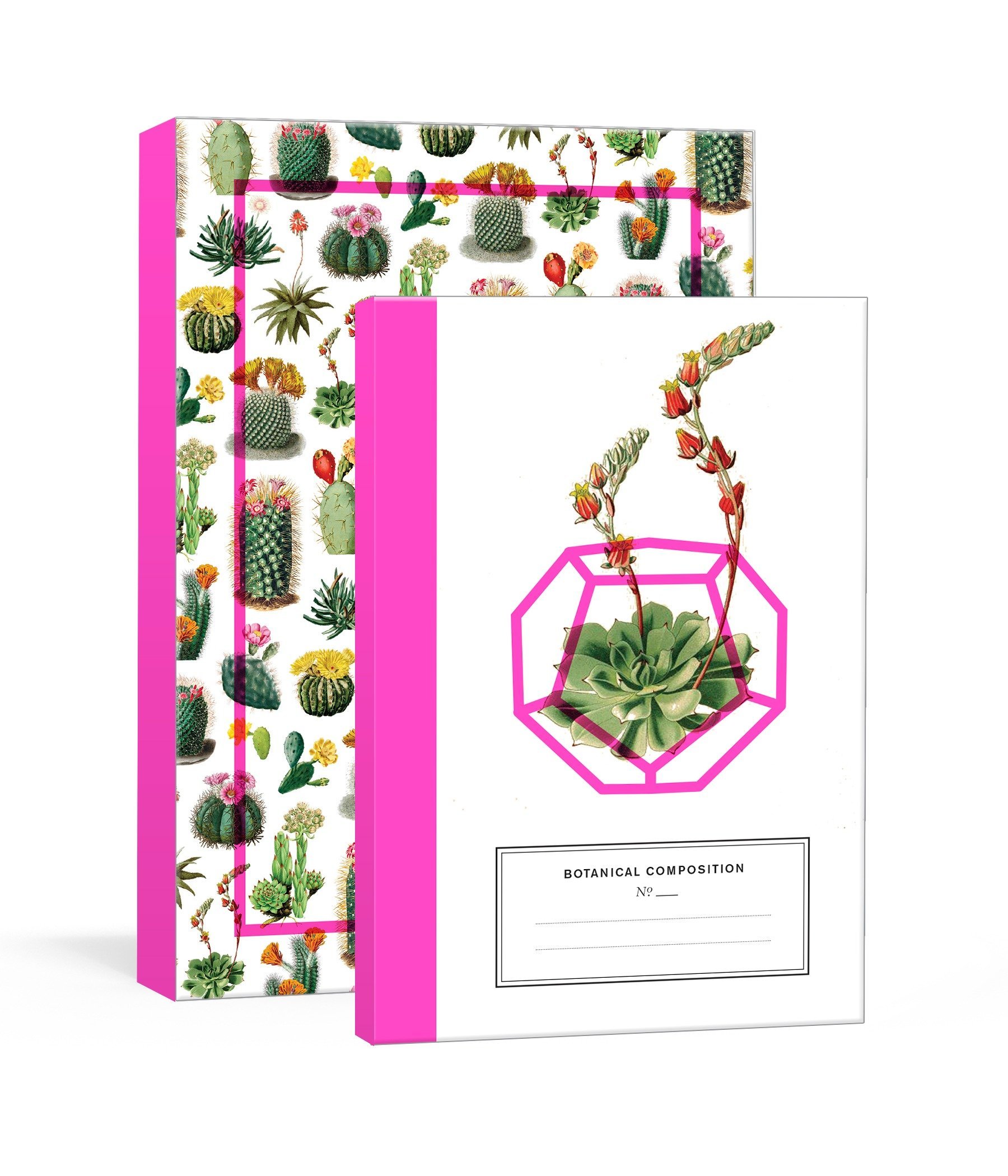Algopix Similar Product 14 - Cacti and Succulents New York