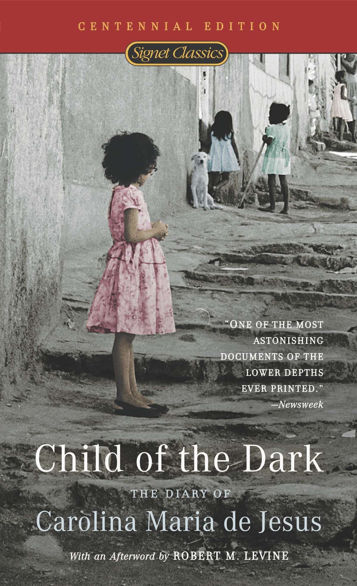 Algopix Similar Product 13 - Child of the Dark The Diary Of