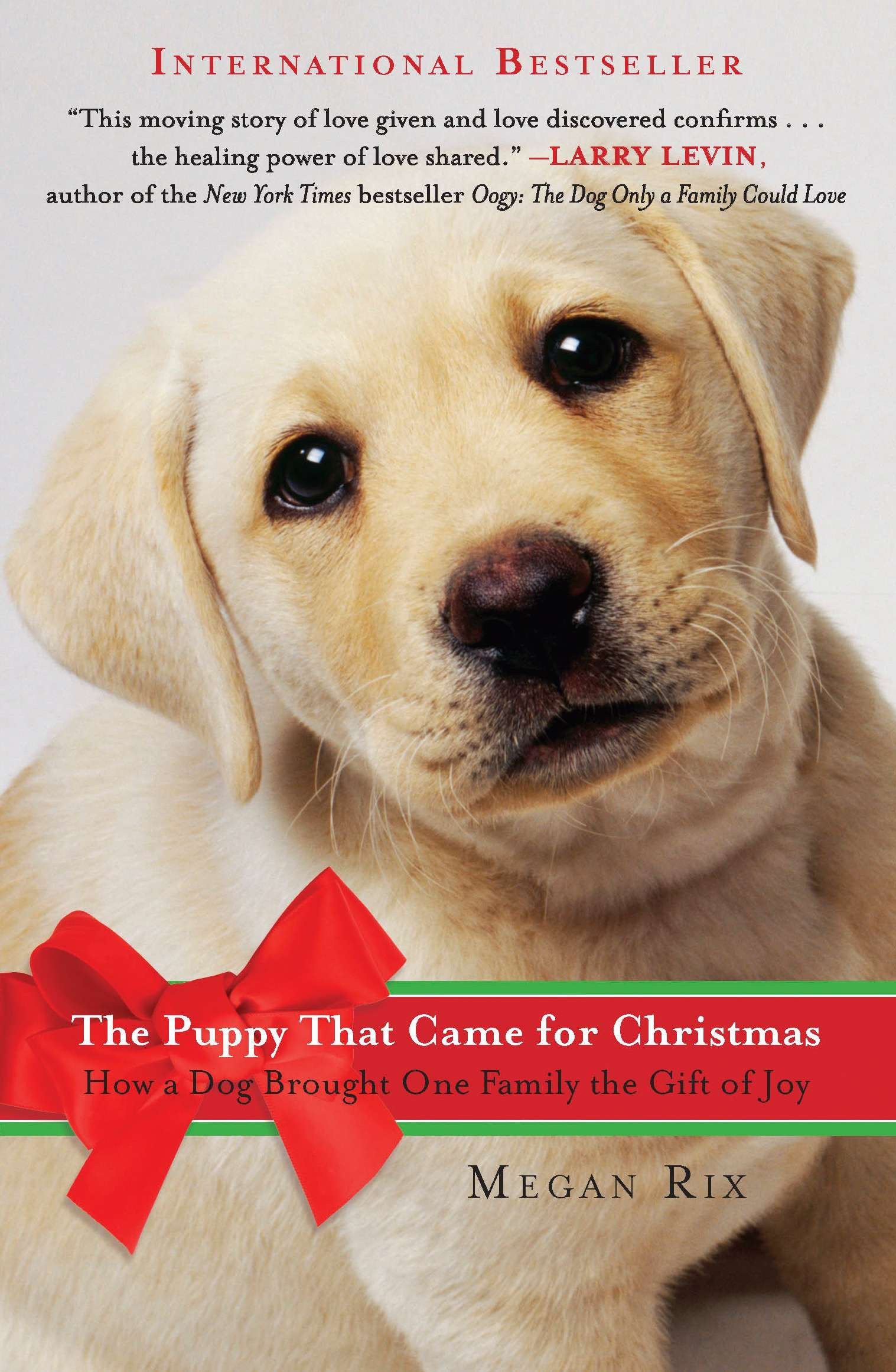 Algopix Similar Product 5 - The Puppy That Came for Christmas How