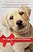 Algopix Similar Product 20 - The Puppy That Came for Christmas How