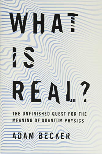 Algopix Similar Product 10 - What Is Real The Unfinished Quest for