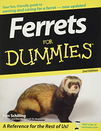 Algopix Similar Product 1 - Ferrets For Dummies