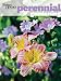 Algopix Similar Product 4 - Better Homes and Gardens Perennial