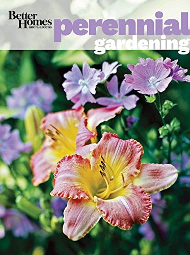 Algopix Similar Product 1 - Better Homes and Gardens Perennial