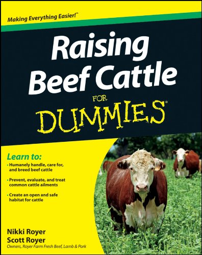 Algopix Similar Product 4 - Raising Beef Cattle For Dummies
