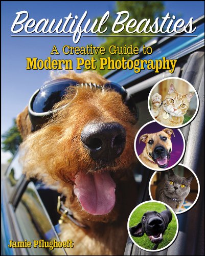 Algopix Similar Product 10 - Beautiful Beasties A Creative Guide to