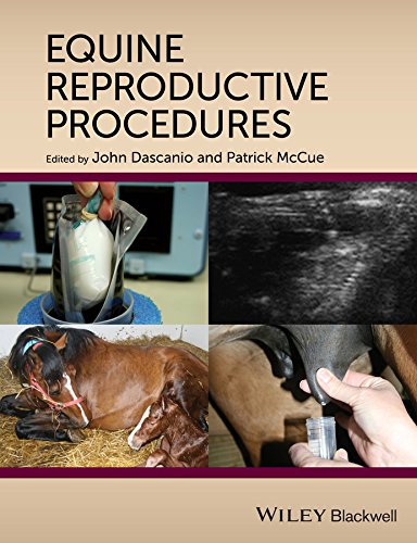 Algopix Similar Product 13 - Equine Reproductive Procedures