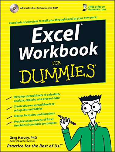 Algopix Similar Product 9 - Excel Workbook For Dummies