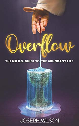 Algopix Similar Product 6 - OVERFLOW The No BS Guide To The