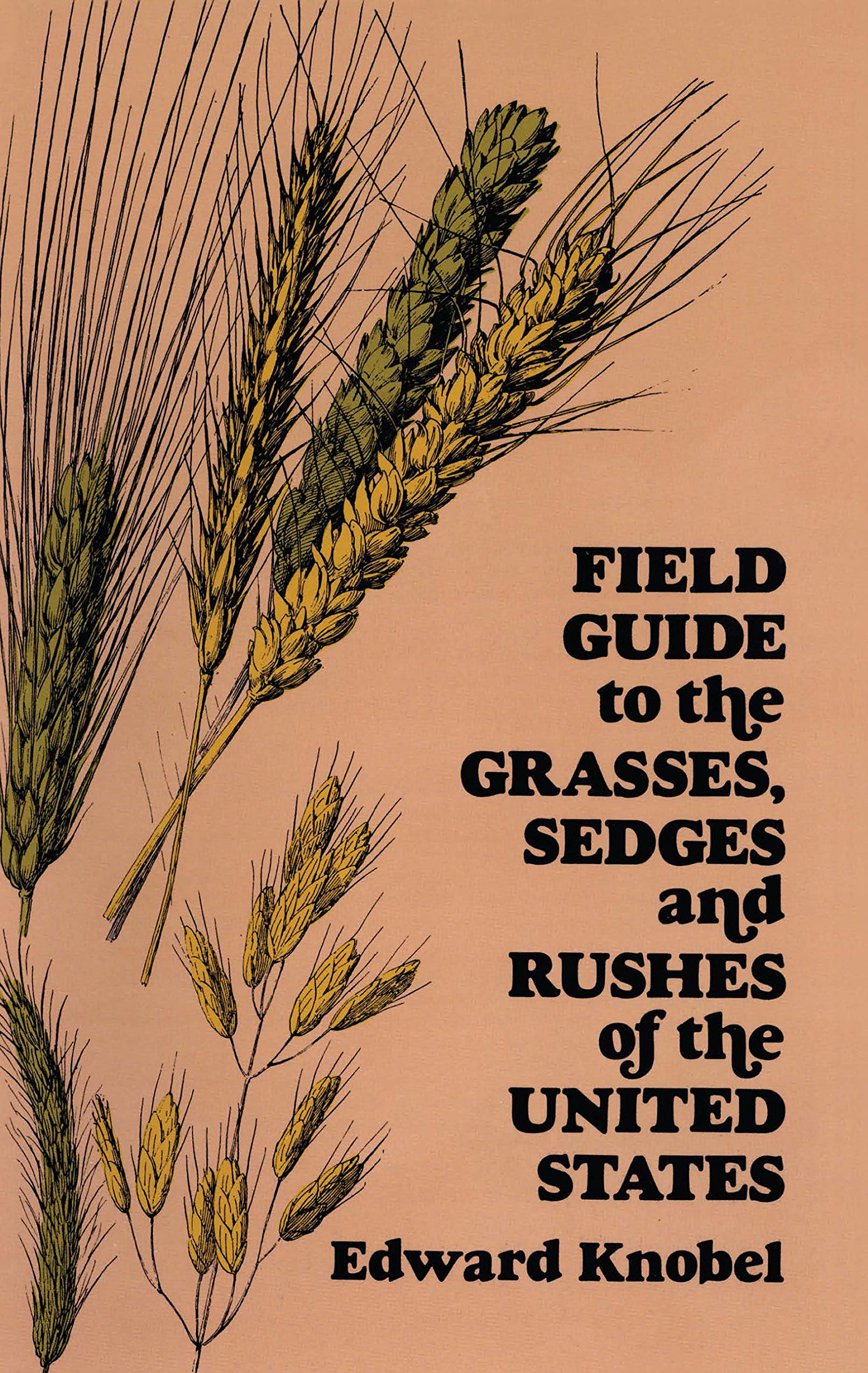 Algopix Similar Product 13 - Field Guide to the Grasses Sedges and