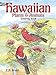 Algopix Similar Product 14 - Hawaiian Plants and Animals Coloring