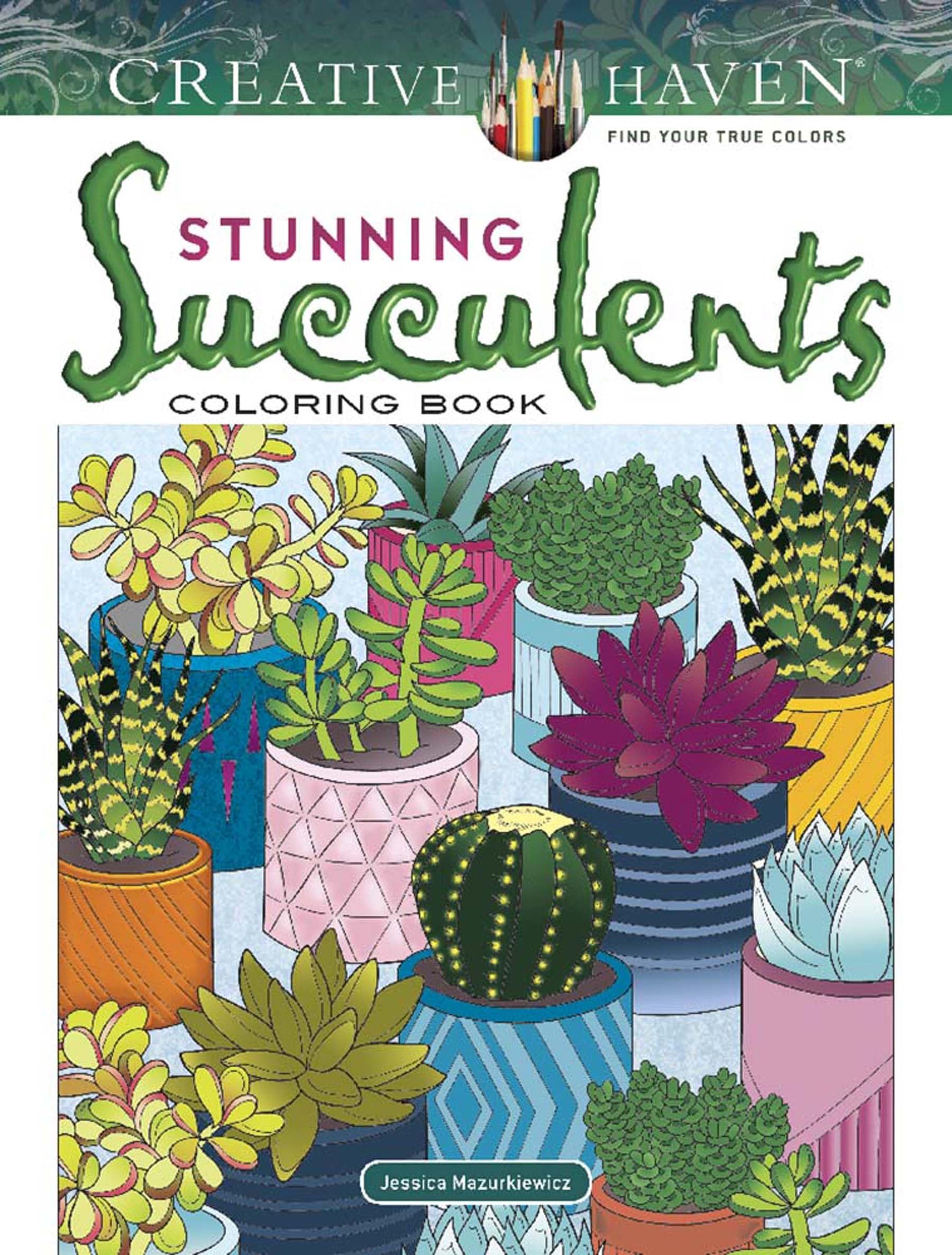 Algopix Similar Product 2 - Creative Haven Stunning Succulents