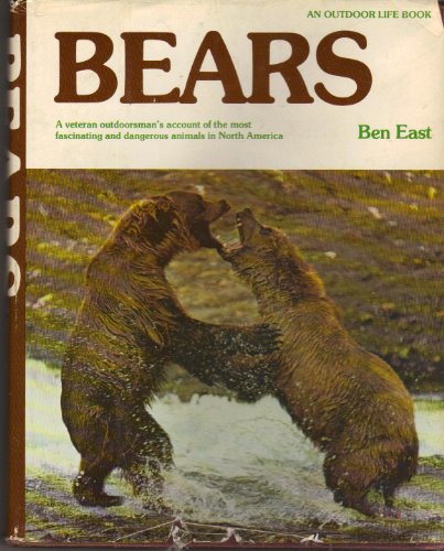 Algopix Similar Product 15 - Bears