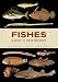 Algopix Similar Product 11 - Fishes: A Guide to Their Diversity